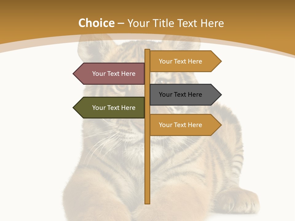 Polar Zoo Dangerous PowerPoint Template