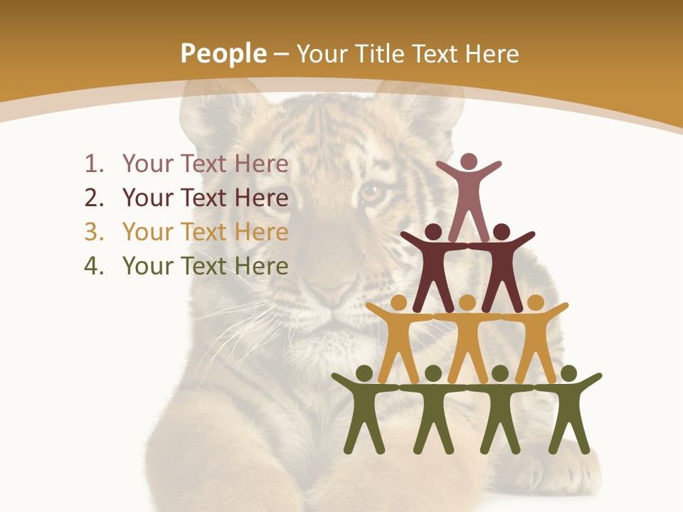 Polar Zoo Dangerous PowerPoint Template