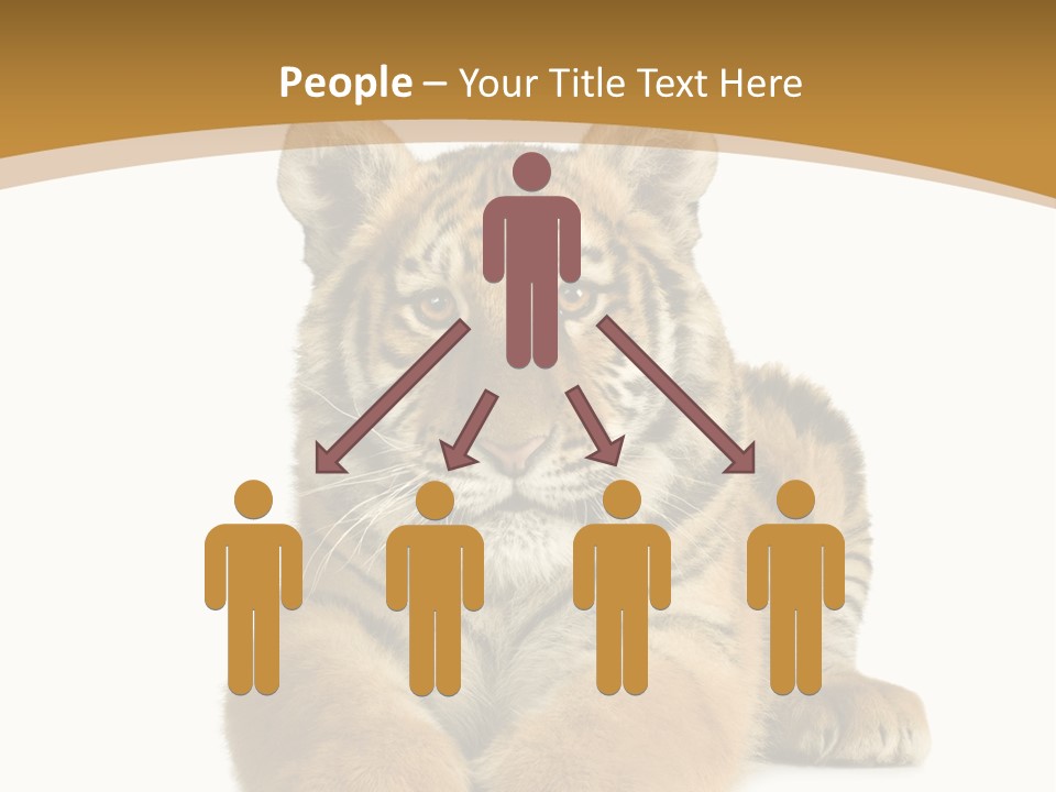 Polar Zoo Dangerous PowerPoint Template
