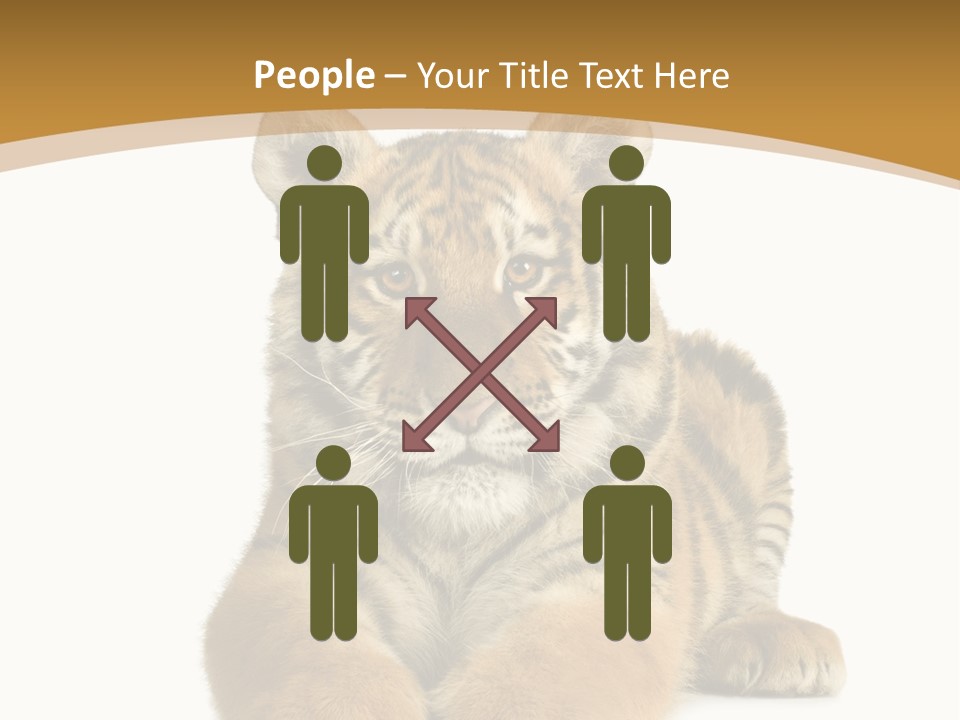 Polar Zoo Dangerous PowerPoint Template