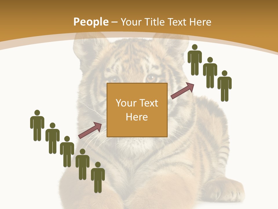 Polar Zoo Dangerous PowerPoint Template