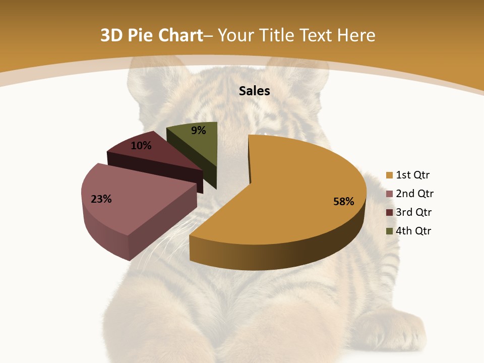 Polar Zoo Dangerous PowerPoint Template