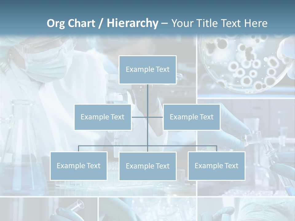 Biology Laboratory Chemist PowerPoint Template