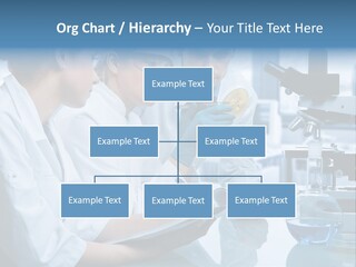 Chemistry Three Hospital PowerPoint Template