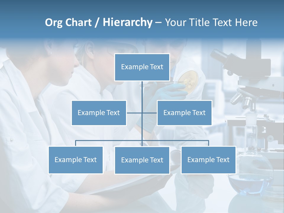 Chemistry Three Hospital PowerPoint Template