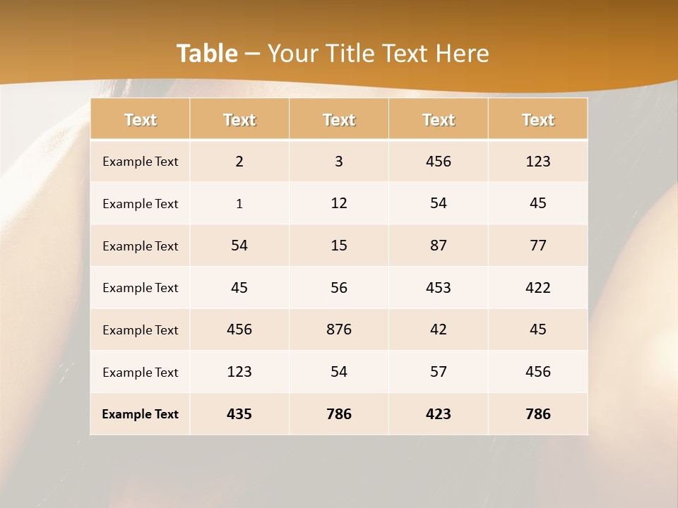 Light Studio Hairstyle PowerPoint Template
