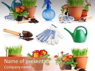 Growing Bouquet Inventory PowerPoint Template