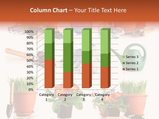 Growing Bouquet Inventory PowerPoint Template