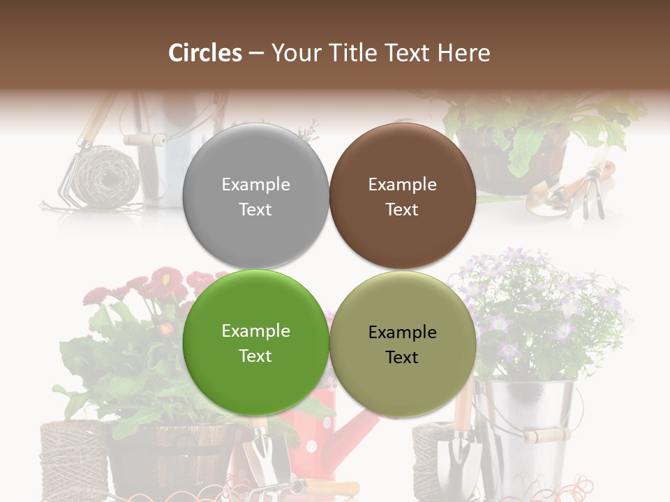 Landscape Blossoming Pink PowerPoint Template