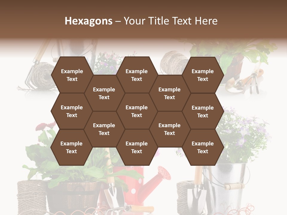 Landscape Blossoming Pink PowerPoint Template