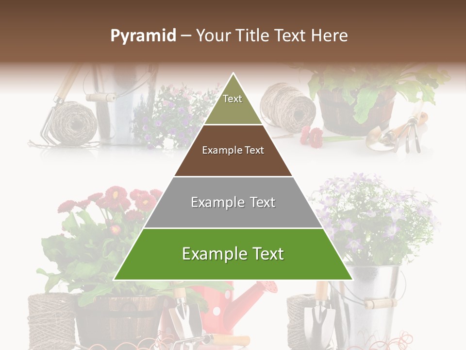 Landscape Blossoming Pink PowerPoint Template