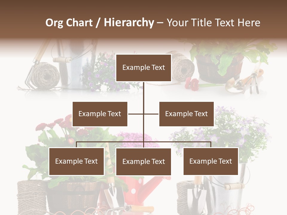 Landscape Blossoming Pink PowerPoint Template