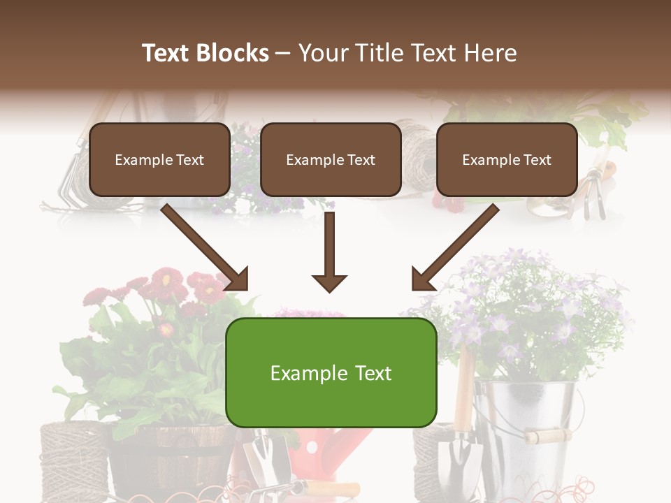 Landscape Blossoming Pink PowerPoint Template