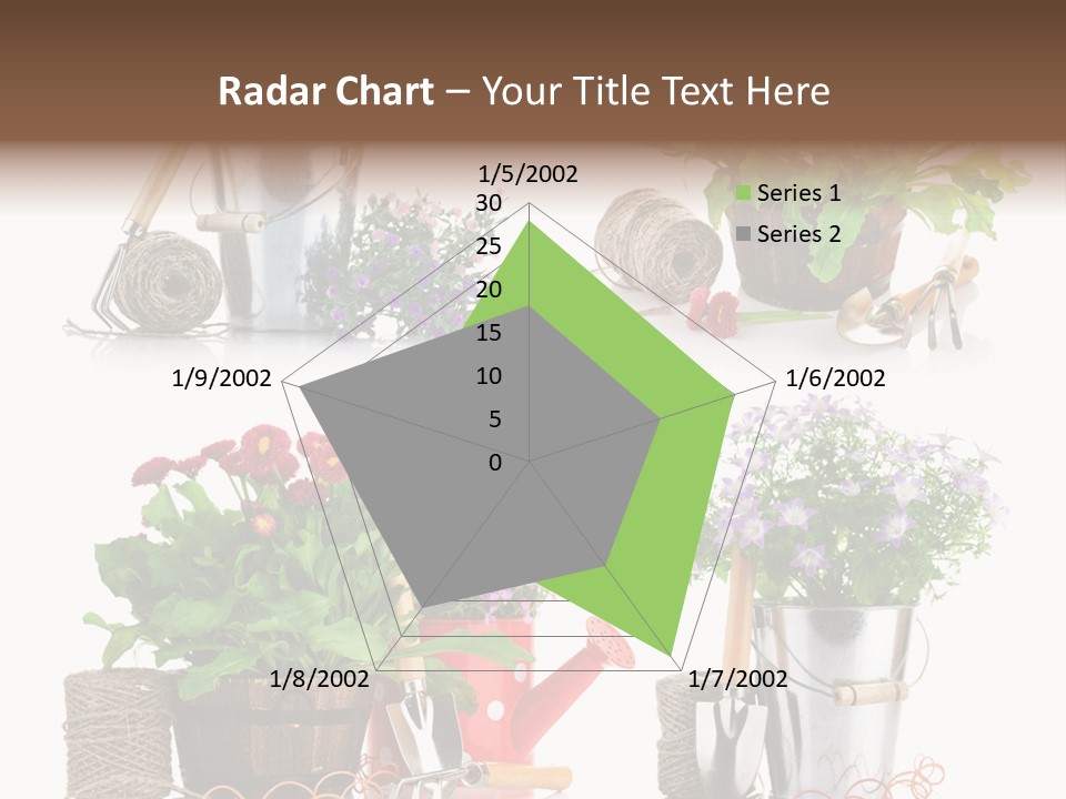 Landscape Blossoming Pink PowerPoint Template