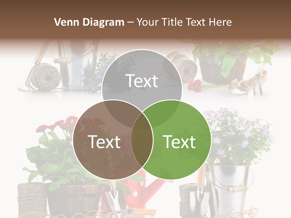 Landscape Blossoming Pink PowerPoint Template