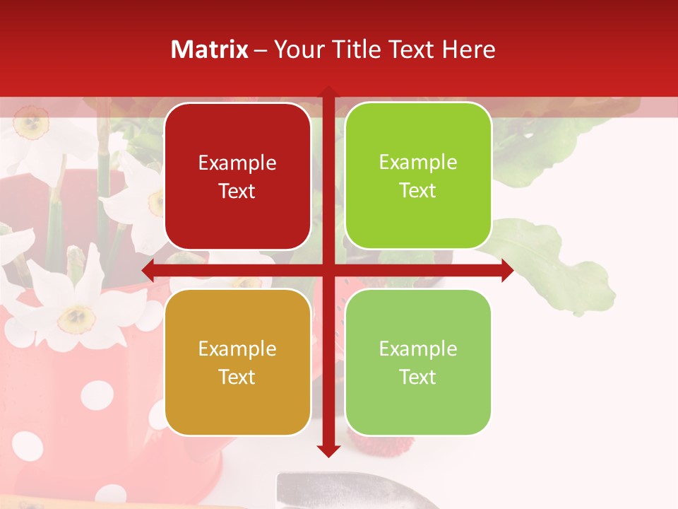 Sun Rope Wash PowerPoint Template