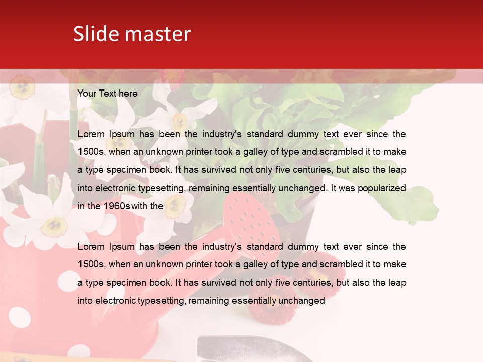 Sun Rope Wash PowerPoint Template