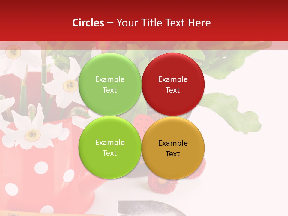 Sun Rope Wash PowerPoint Template