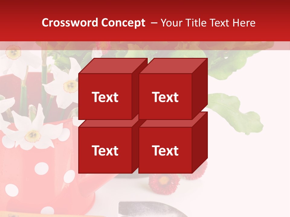 Sun Rope Wash PowerPoint Template