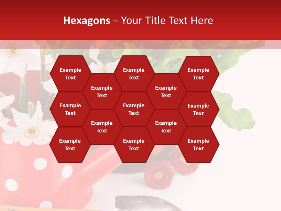 Sun Rope Wash PowerPoint Template