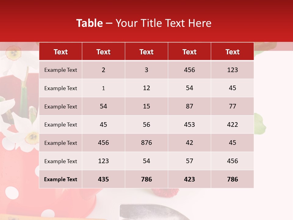 Sun Rope Wash PowerPoint Template