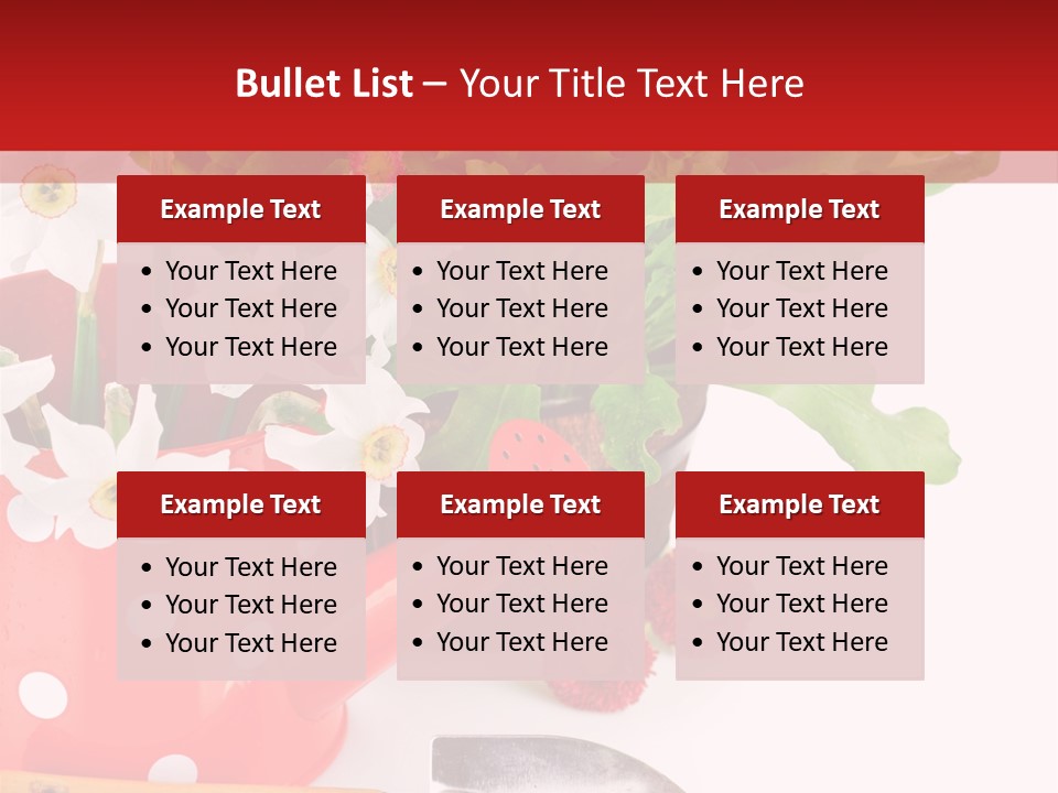 Sun Rope Wash PowerPoint Template