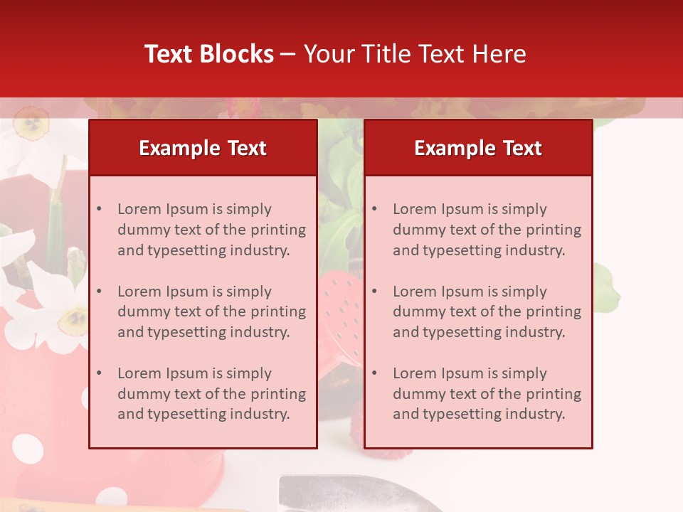 Sun Rope Wash PowerPoint Template