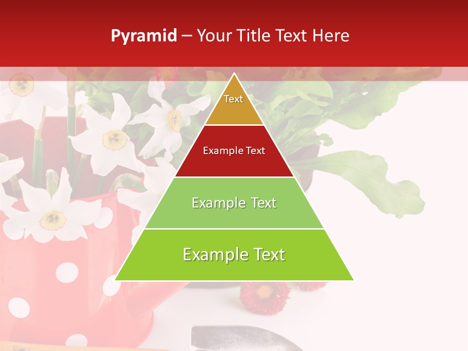 Sun Rope Wash PowerPoint Template