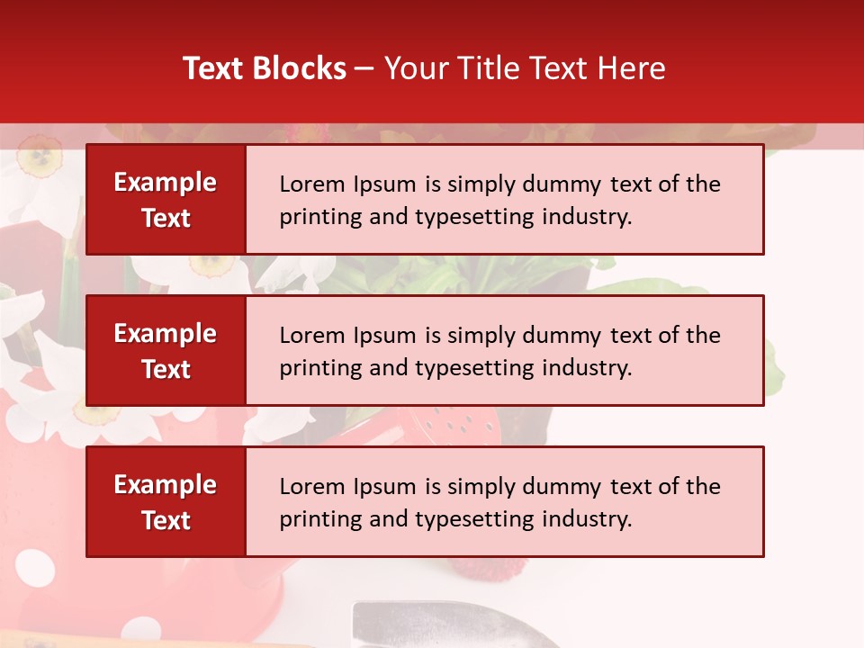Sun Rope Wash PowerPoint Template