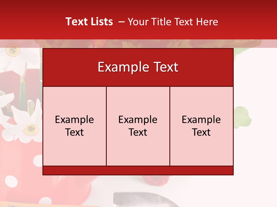 Sun Rope Wash PowerPoint Template
