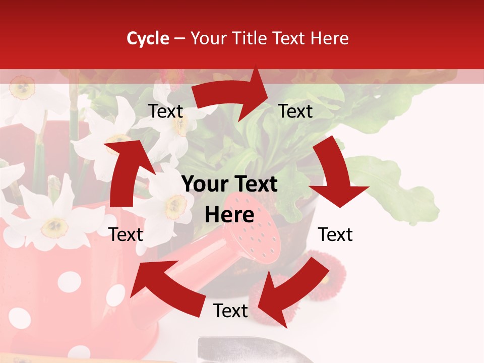 Sun Rope Wash PowerPoint Template