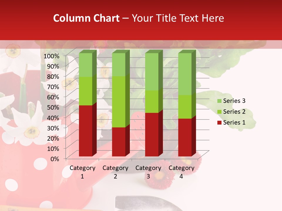 Sun Rope Wash PowerPoint Template