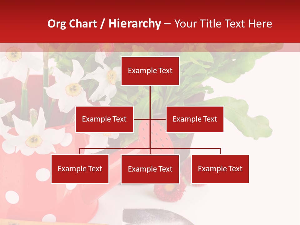 Sun Rope Wash PowerPoint Template