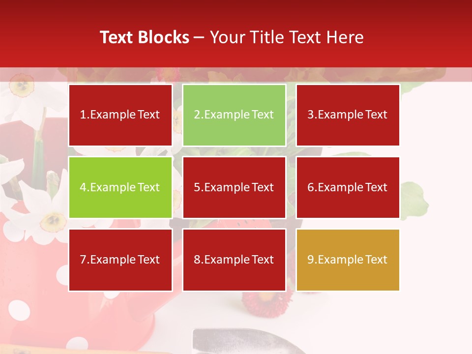 Sun Rope Wash PowerPoint Template