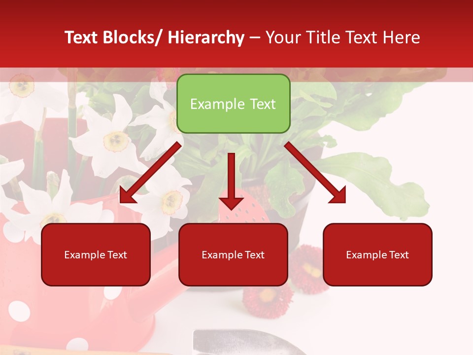 Sun Rope Wash PowerPoint Template