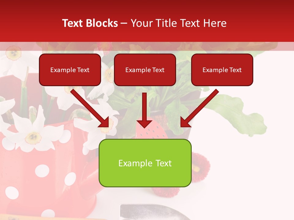 Sun Rope Wash PowerPoint Template