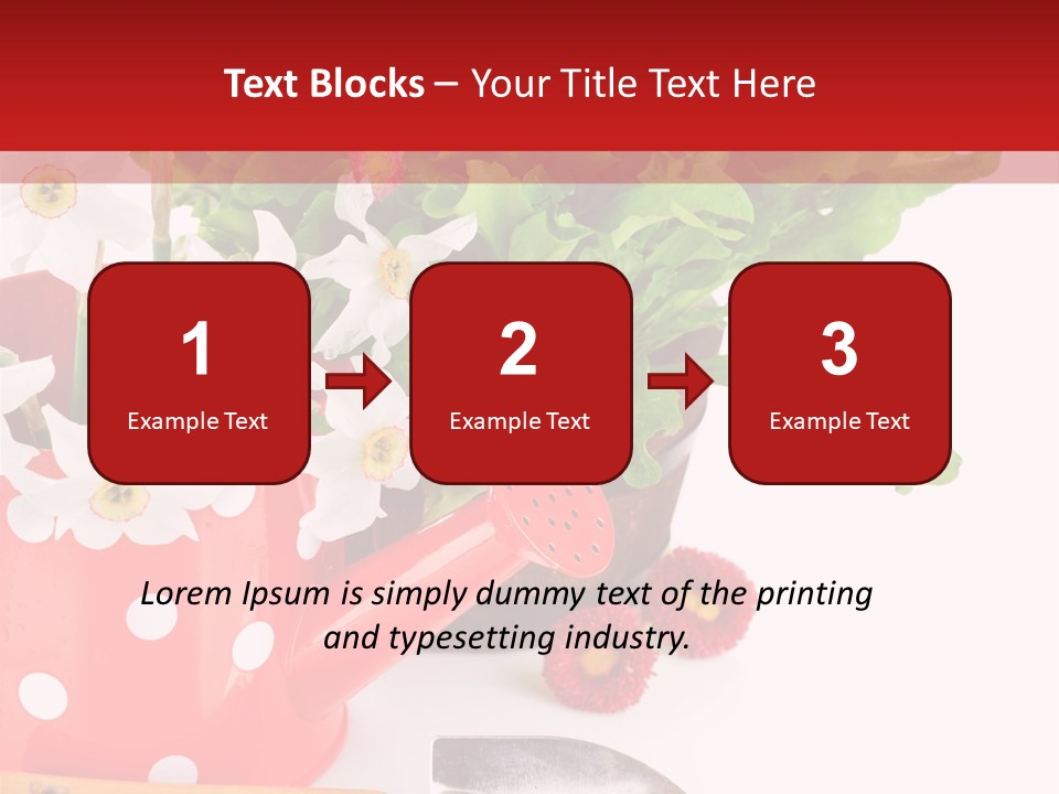Sun Rope Wash PowerPoint Template