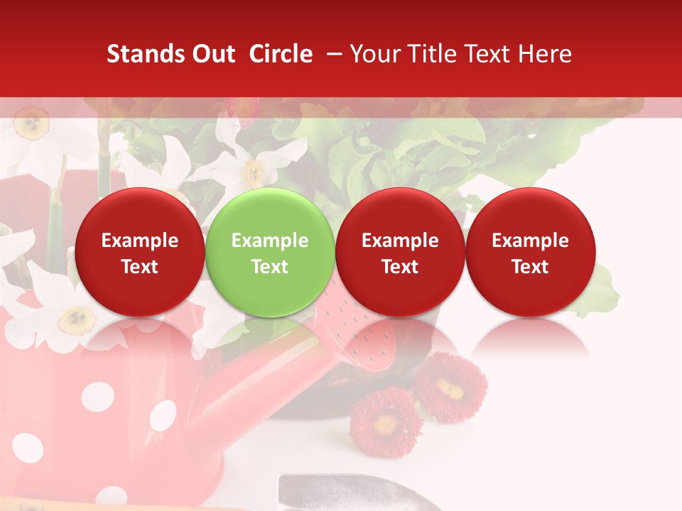 Sun Rope Wash PowerPoint Template