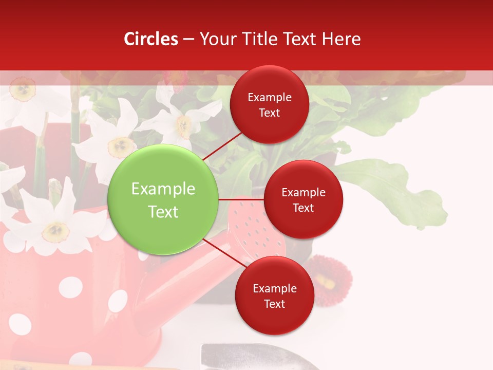 Sun Rope Wash PowerPoint Template