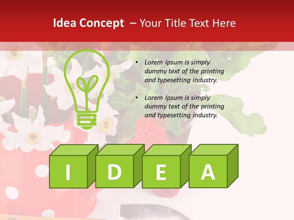 Sun Rope Wash PowerPoint Template