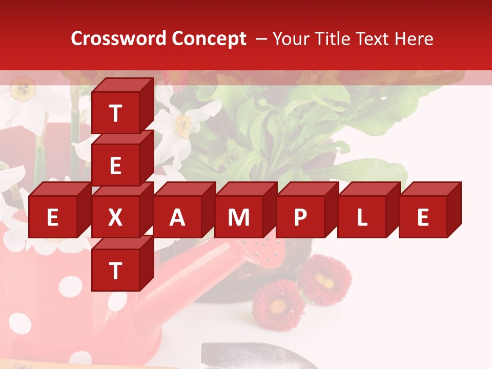 Sun Rope Wash PowerPoint Template