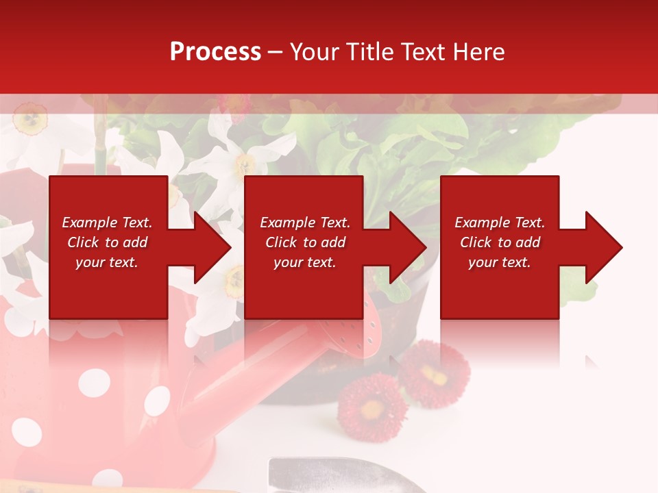 Sun Rope Wash PowerPoint Template