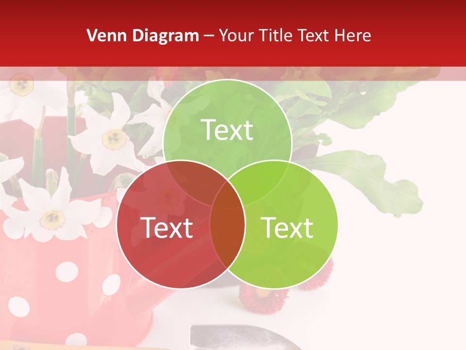 Sun Rope Wash PowerPoint Template