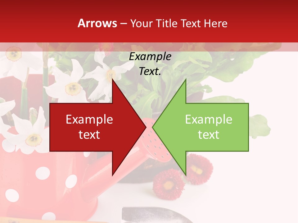 Sun Rope Wash PowerPoint Template