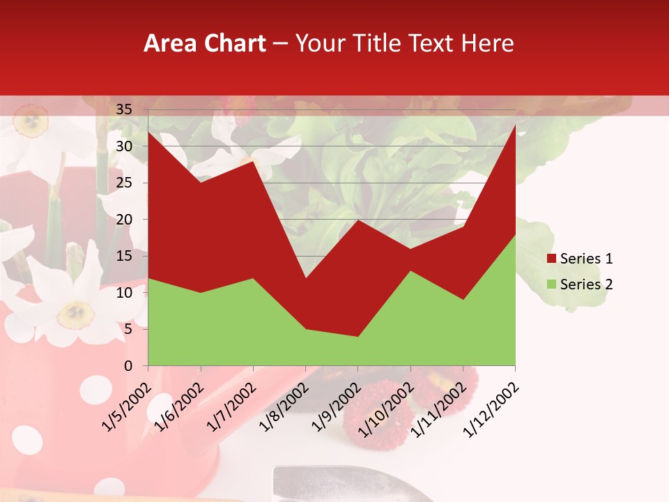 Sun Rope Wash PowerPoint Template