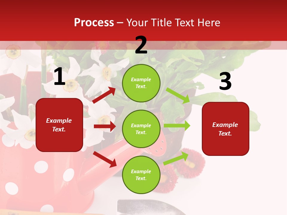 Sun Rope Wash PowerPoint Template