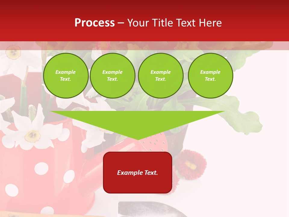 Sun Rope Wash PowerPoint Template