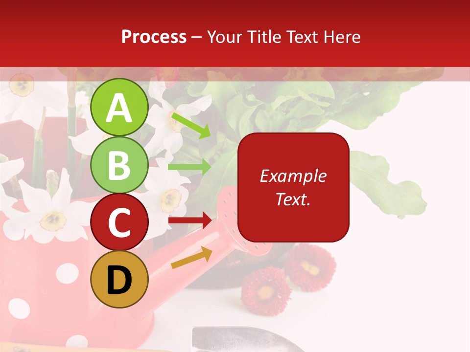 Sun Rope Wash PowerPoint Template