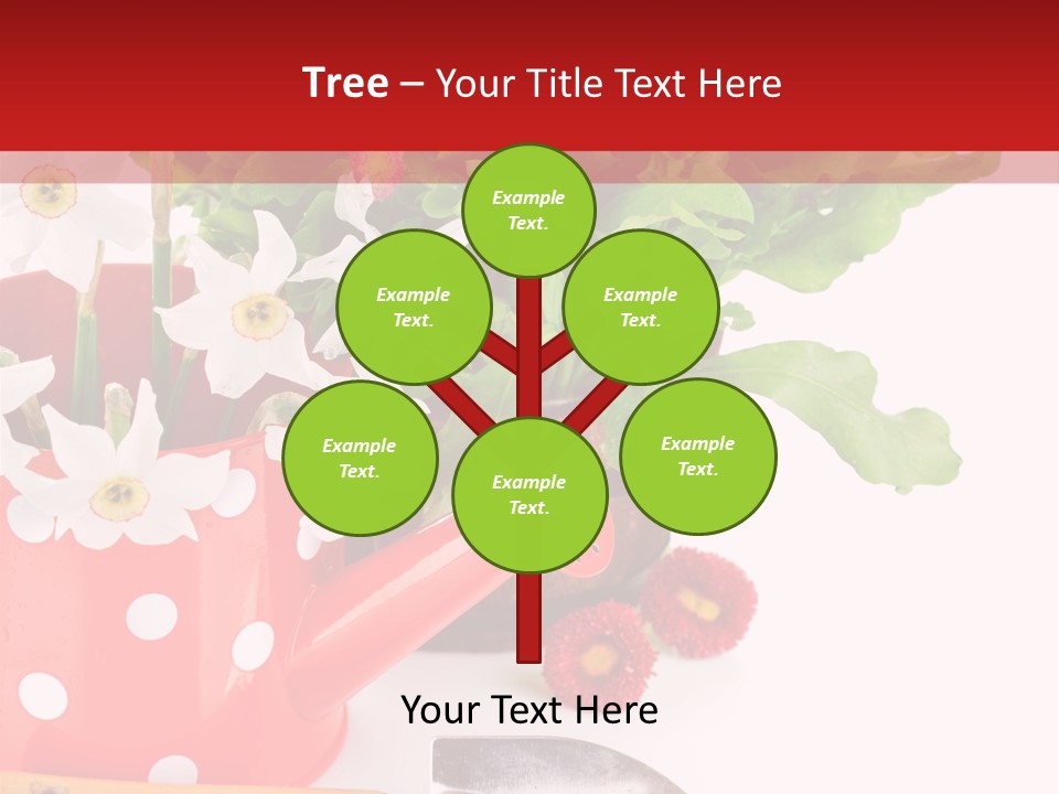 Sun Rope Wash PowerPoint Template