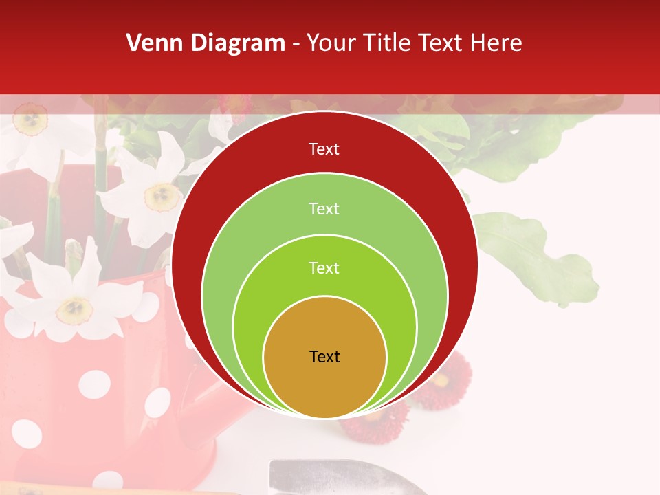 Sun Rope Wash PowerPoint Template